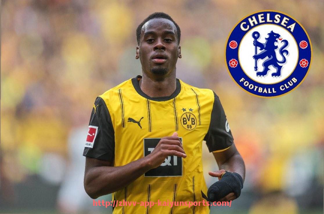 开云体育app下载-杨晨曾效力于哪支德甲球队？附赛季数据