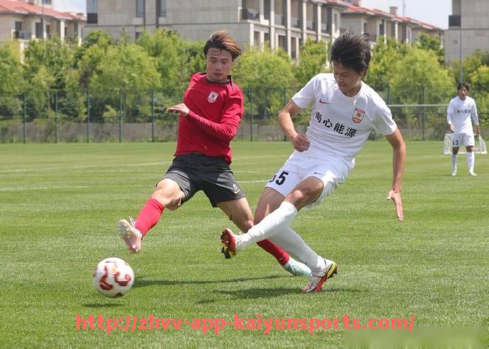 开云体育app下载-粤语讲解德甲各支球队名字：东西南北全覆盖