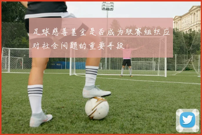 足球慈善基金是否成为联赛组织应对社会问题的重要手段