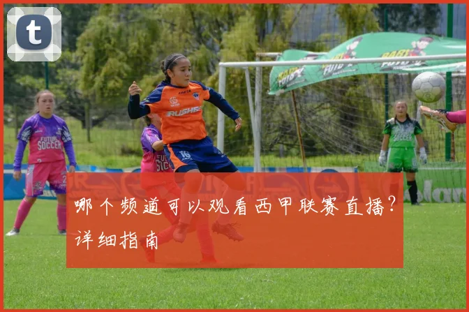 哪个频道可以观看西甲联赛直播？详细指南